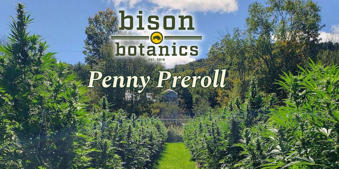 Bison Botanics Penny Preroll