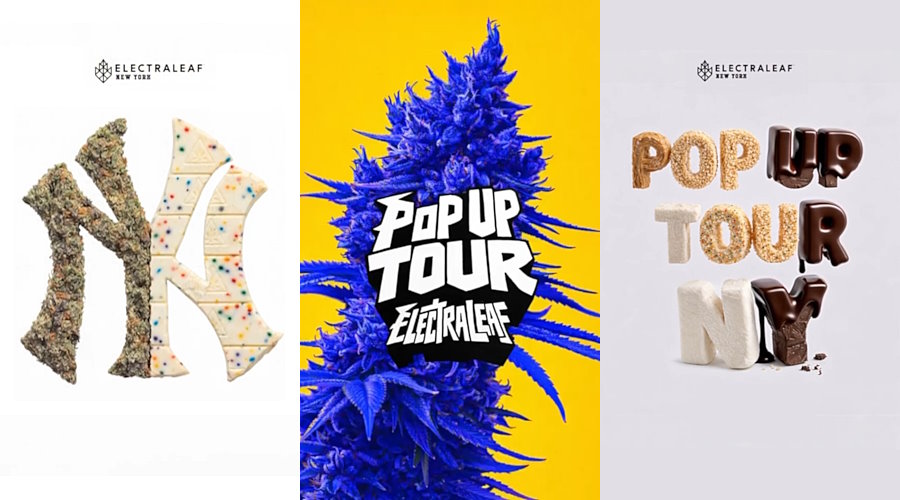 Electraleaf Pop Up Tour NY