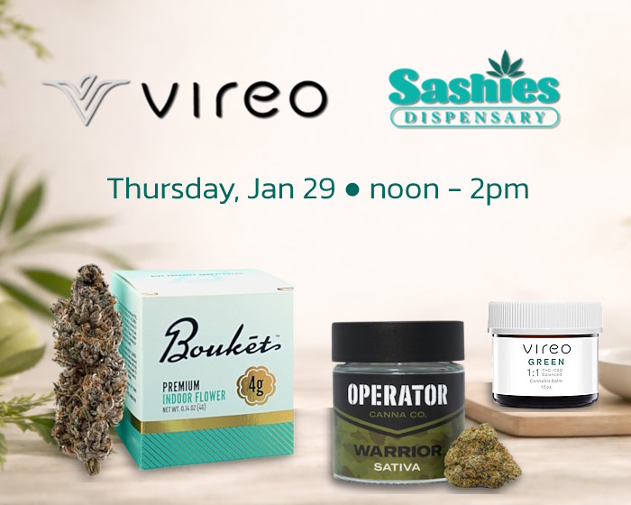 Vireo popup at Sashies