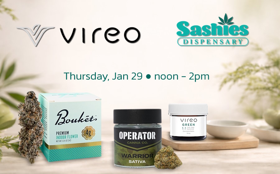 Vireo pops up at Sashies